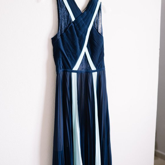 BCBG MAXAZRIA Maxi Pleated Evening Gown with Subtle Transparencies - Size 6 - Picture 5 of 13